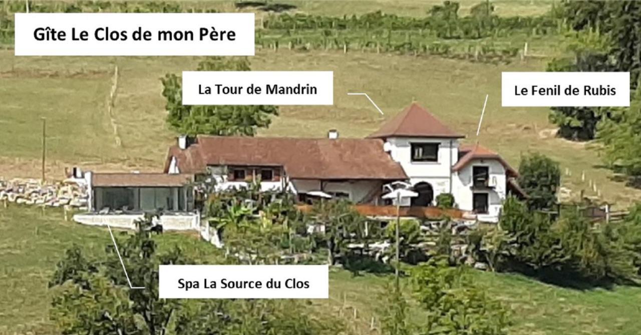 Gite & Spa Le Clos De Mon Pere Rochefort  Exterior photo
